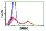 ERBB2 Antibody in Flow Cytometry (Flow)