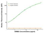 ERBB2 Antibody in Luminex (LUM)