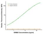 ERBB2 Antibody in Luminex (LUM)