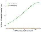 ERBB2 Antibody in Luminex (LUM)