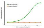 ERG Antibody in ELISA (ELISA)