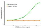 ERG Antibody in ELISA (ELISA)