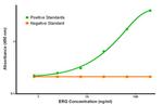 ERG Antibody in ELISA (ELISA)