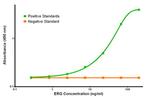 ERG Antibody in ELISA (ELISA)