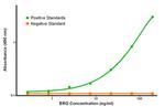 ERG Antibody in ELISA (ELISA)