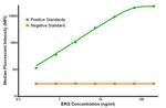 ERG Antibody in Luminex (LUM)