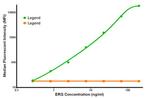 ERG Antibody in Luminex (LUM)