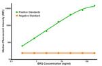 ERG Antibody in Luminex (LUM)