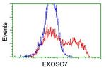 EXOSC7 Antibody in Flow Cytometry (Flow)