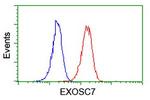 EXOSC7 Antibody in Flow Cytometry (Flow)