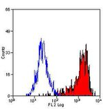 F4/80 Antibody in Flow Cytometry (Flow)