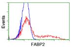 FABP2 Antibody in Flow Cytometry (Flow)