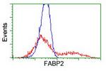 FABP2 Antibody in Flow Cytometry (Flow)