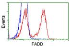 FADD Antibody in Flow Cytometry (Flow)