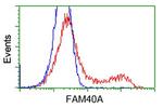 FAM40A Antibody in Flow Cytometry (Flow)