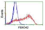 FBXO42 Antibody in Flow Cytometry (Flow)