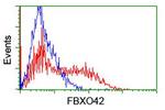 FBXO42 Antibody in Flow Cytometry (Flow)