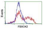 FBXO42 Antibody in Flow Cytometry (Flow)