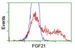 FGF21 Antibody in Flow Cytometry (Flow)