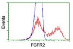 FGFR2 Antibody in Flow Cytometry (Flow)