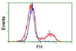 FH Antibody in Flow Cytometry (Flow)