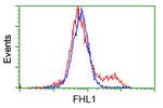 FHL1 Antibody in Flow Cytometry (Flow)