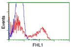 FHL1 Antibody in Flow Cytometry (Flow)