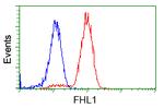 FHL1 Antibody in Flow Cytometry (Flow)