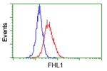 FHL1 Antibody in Flow Cytometry (Flow)