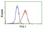 FHL1 Antibody in Flow Cytometry (Flow)