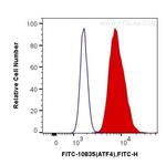 ATF4 Antibody in Flow Cytometry (Flow)