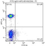 CD161 Antibody in Flow Cytometry (Flow)