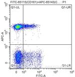 CD161 Antibody in Flow Cytometry (Flow)