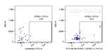 STRO-1 Antibody in Flow Cytometry (Flow)