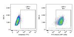 LRP1 Antibody in Flow Cytometry (Flow)