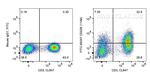 CD226 Antibody in Flow Cytometry (Flow)