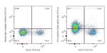 CD96 Antibody in Flow Cytometry (Flow)