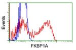 FKBP1A Antibody in Flow Cytometry (Flow)