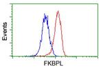 FKBPL Antibody in Flow Cytometry (Flow)