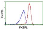 FKBPL Antibody in Flow Cytometry (Flow)