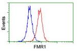 FMR1 Antibody in Flow Cytometry (Flow)