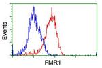 FMR1 Antibody in Flow Cytometry (Flow)