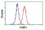 FMR1 Antibody in Flow Cytometry (Flow)