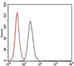 c-Fos Antibody in Flow Cytometry (Flow)