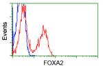 FOXA2 Antibody in Flow Cytometry (Flow)