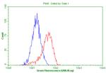 FOXP1 Antibody in Flow Cytometry (Flow)