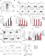 T-bet Antibody in Flow Cytometry (Flow)