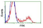 FRK Antibody in Flow Cytometry (Flow)