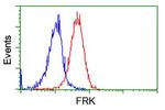 FRK Antibody in Flow Cytometry (Flow)