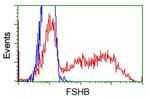 FSHB Antibody in Flow Cytometry (Flow)